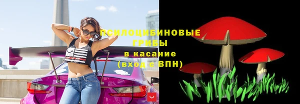 гидра Богданович