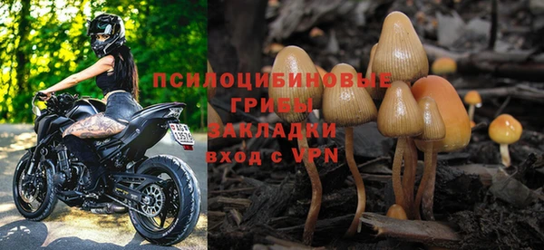 гидра Богданович