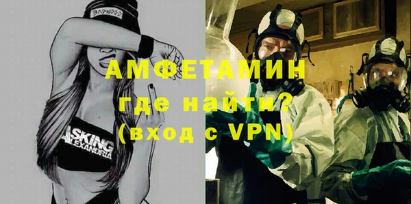 гидра Богданович