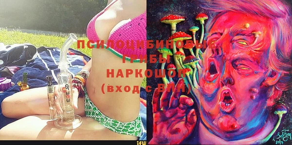 МДПВ Богородск