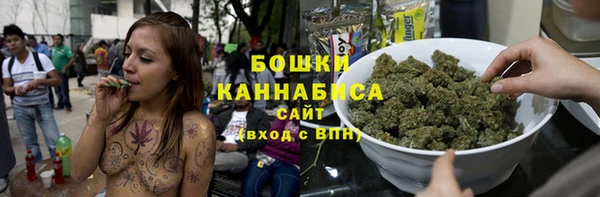 гидра Богданович