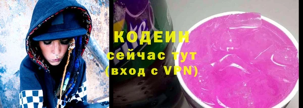 гидра Богданович