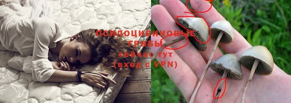 гидра Богданович