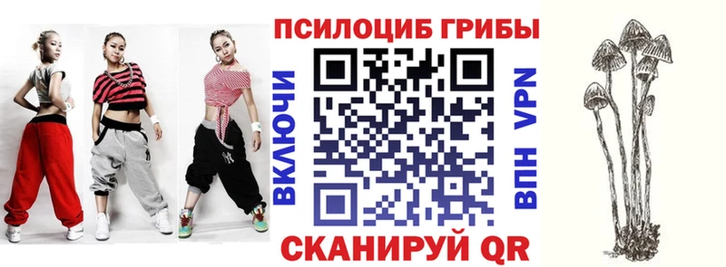 Купить где  Горно-Алтайск  Псилоцибиновые грибы Cubensis 